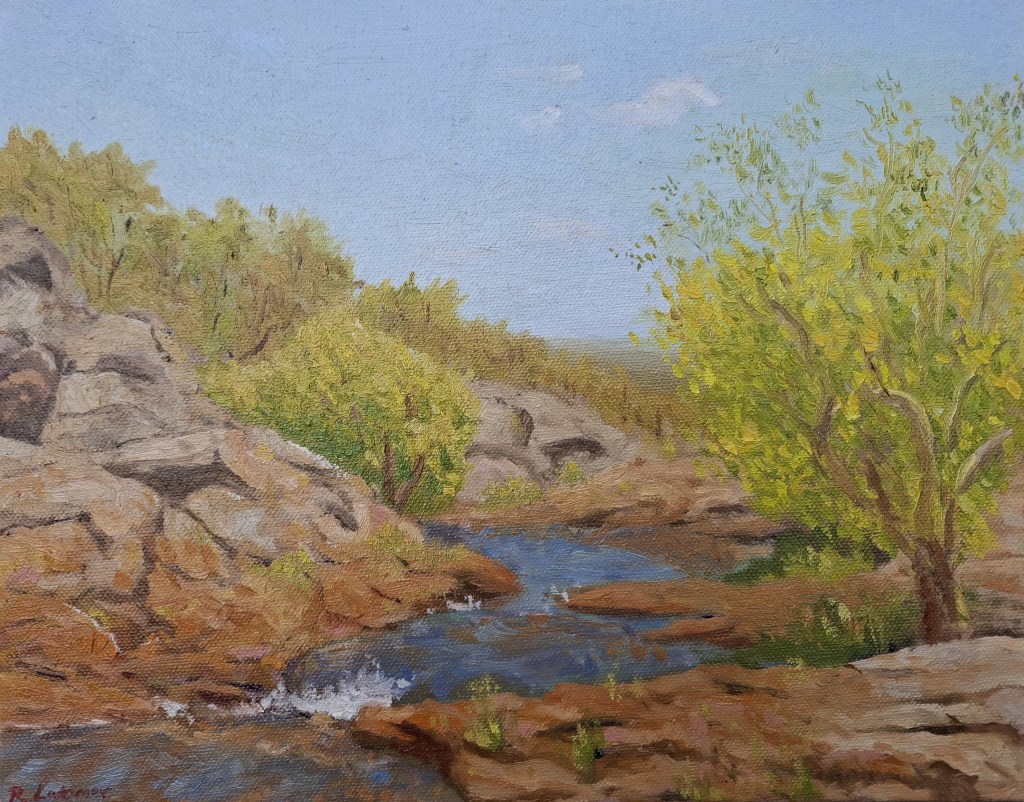 ‘Swimming spot in Kakadu’&nbsp;2025